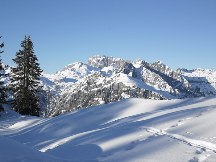 rotewand01 rotewand01